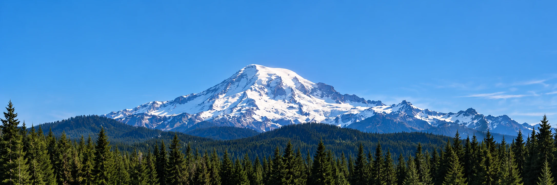 Snow-covered Mount Rainier above evergreen forest